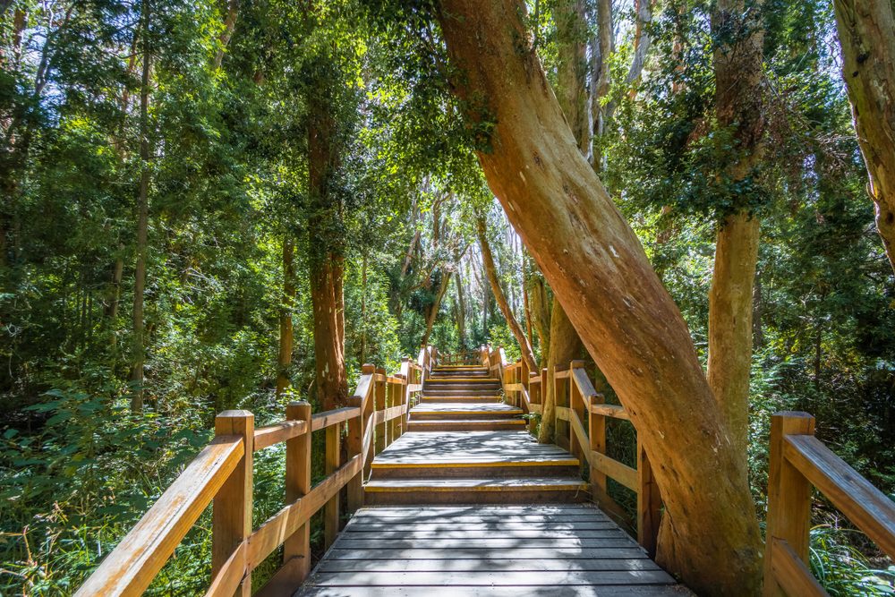 Los Arrayanes National Park